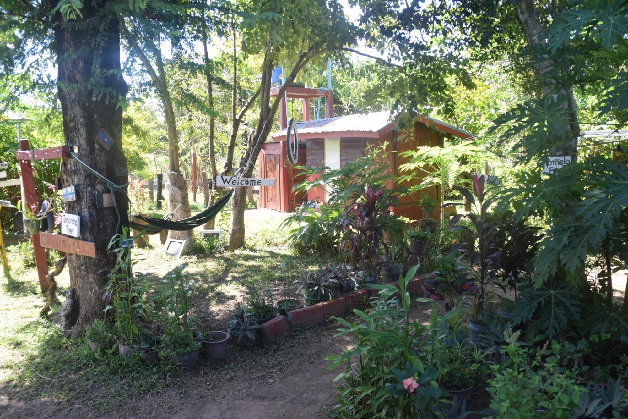 Don Som Riverside Guesthouse Bagian luar foto